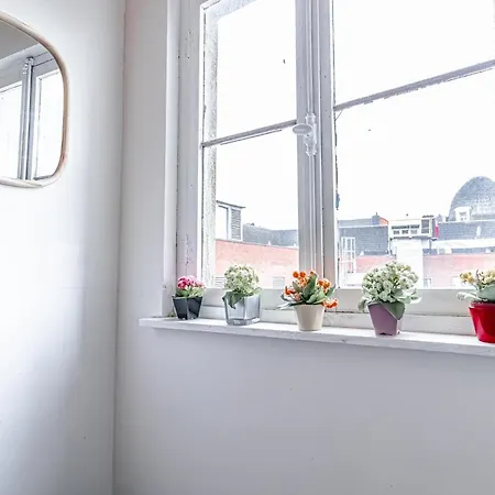 Modern Connected 6 In The Heart Of *